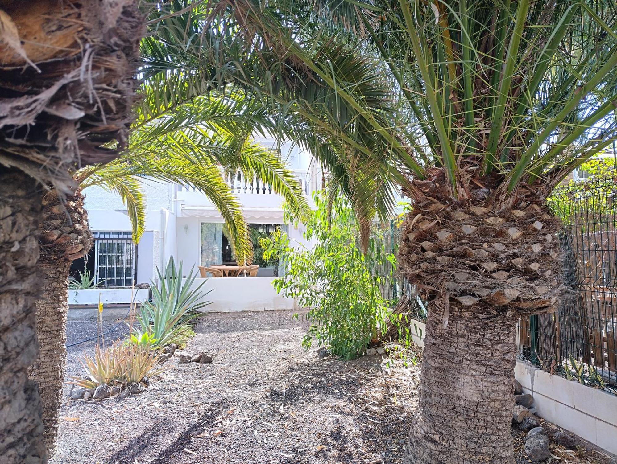 Apartment Residencia Carabela Costa Del Silencio Zewnętrze zdjęcie